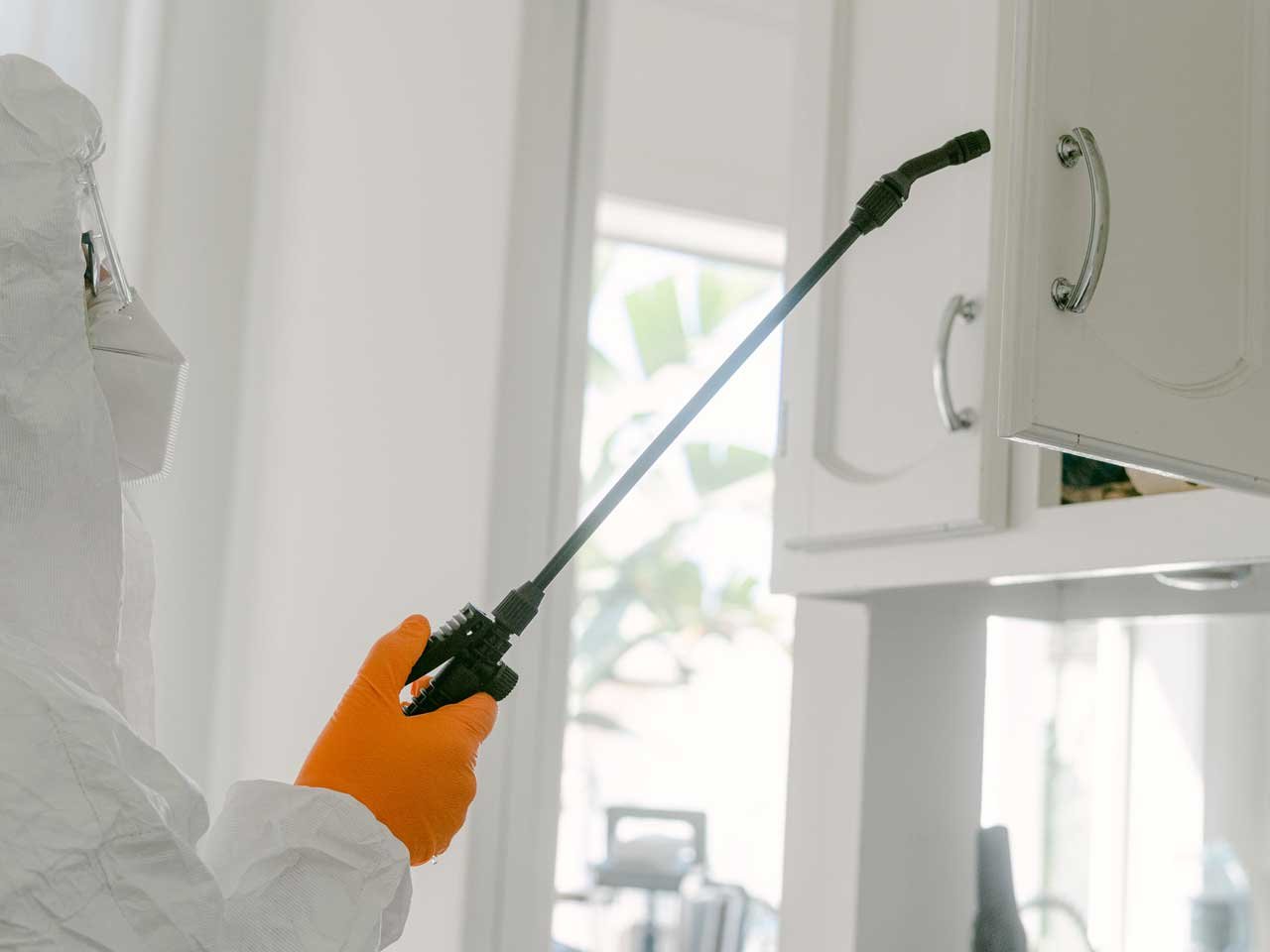 pest-control-chemicals-11
